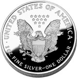 Sjevernoamerički srebrni orao (American silver eagle)