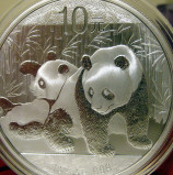 Kineski srebrni panda (Chinese Silver panda)